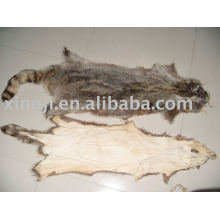 American Raccoon dog Skin